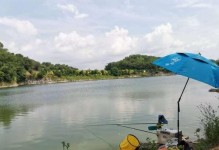 夏日钓鱼攻略大揭秘（探秘七月钓鱼的绝佳技巧与经验）
