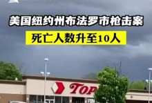 以一枪杀几人攻略（无声无息、一枪毙命的暗杀艺术揭秘）