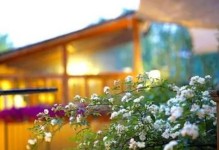 逃出湖景老宅攻略（探索秘密迷宫，寻找生存线索）