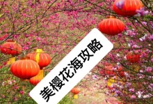 花海英雄出装最新版攻略——打造最强的英雄装备方案（全面解析花海英雄最佳出装方案，带你登上胜利之巅）