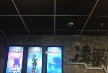 《以盗爱记游戏攻略——化身盗贼，谱写爱的乐章》（挑战盗贼身份，与爱交织的冒险之旅）