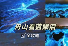 以觅食计游戏攻略（掌握高效觅食技巧，轻松提升等级经验）