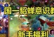 貂蝉逆风局出装攻略（挑战游戏极限，掌握技巧与装备选择的完美平衡）