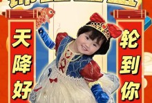 白叔叔身份揭秘——完美的一天（揭秘白叔叔的职业背景和成功之道）