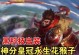 猴子出装视角技能加点攻略（玩转猴子，掌握最佳出装和技能加点策略）