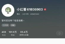 雪梨辅助教程出装攻略最新（雪梨辅助教程出装攻略大揭秘，让你战无不胜！）