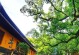 传奇手游普陀山攻略（解密普陀山，畅享传奇世界）