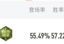 妲己攻略（掌握妲己的出装和铭文选择，让你在战场上无往不利）